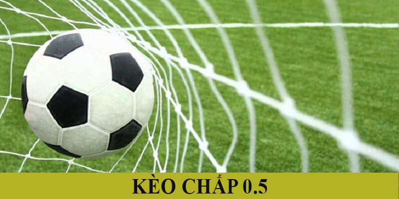 hình đại diện kèo chấp 0.5