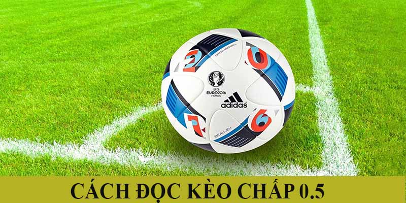 Cách đọc kèo 0.5 chính xác nhất